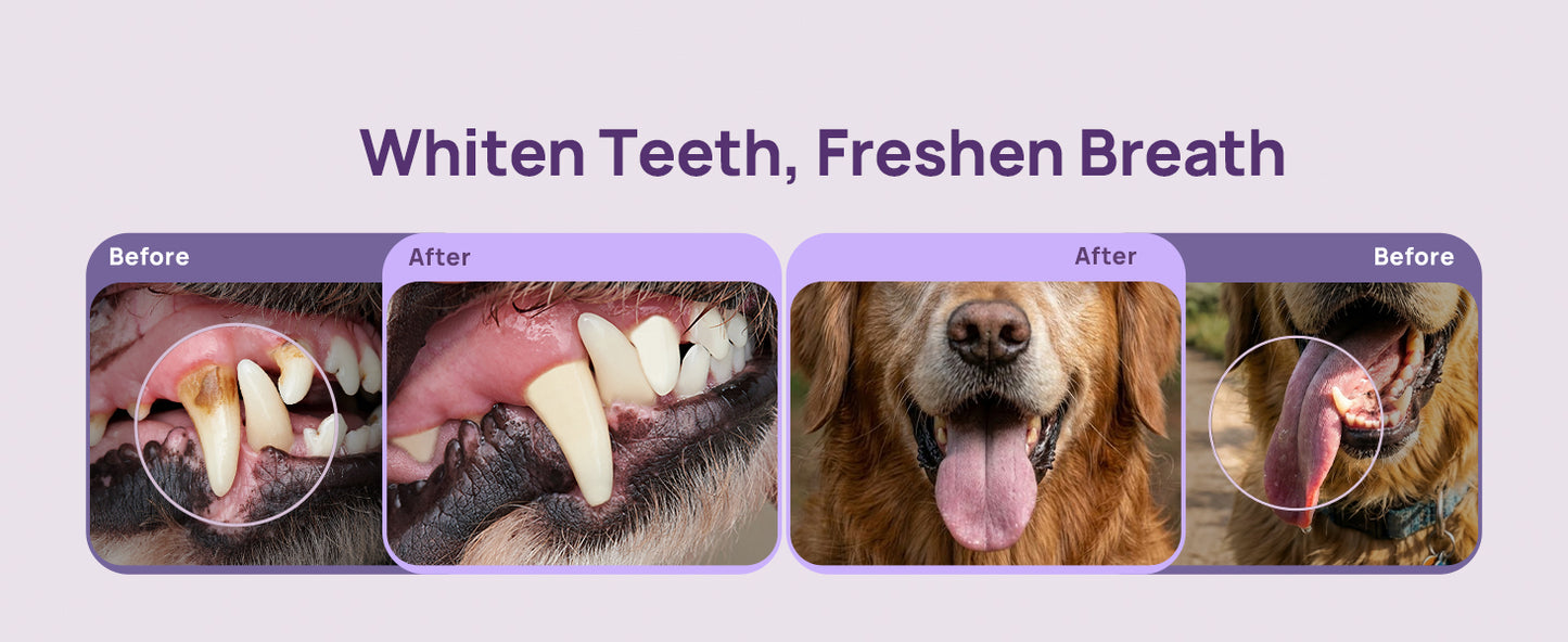 Silicone Dog Finger Toothbrush