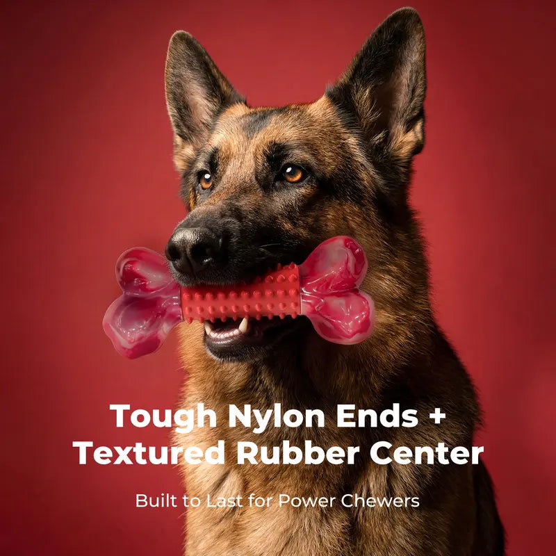 Unbreakable Dog Chew Toys for Aggressive Chewers