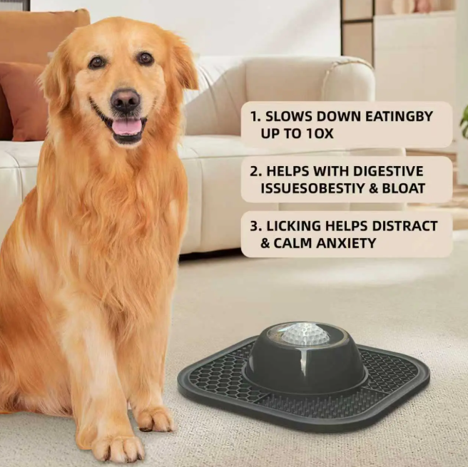 Lick Mat & Slow Feeder Bowl