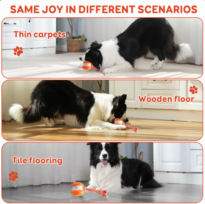 Automatic Rolling & Spinning Pet Toy with Rope