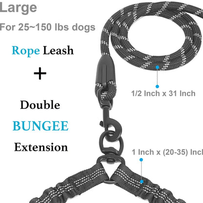 Dual Dog Leash