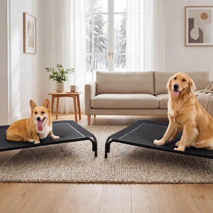 Elevated Dog Bed