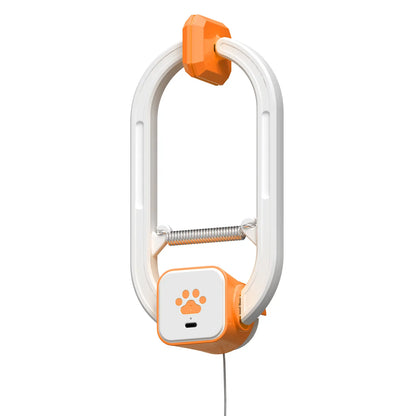 Automatic Electric Cat Teaser