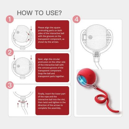 Interactive USB Rechargeable Pet Ball