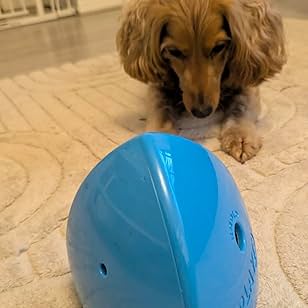 Interactive Dog Treat Dispenser & Puzzle Feeder – Unique Self-Propelling Roller Toy