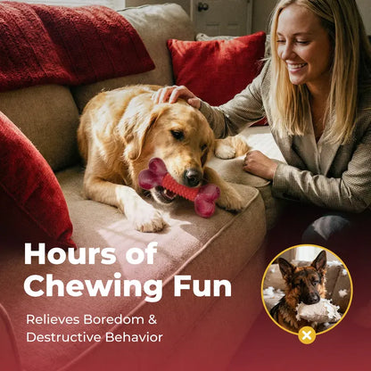Unbreakable Dog Chew Toys for Aggressive Chewers