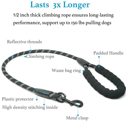 Dual Dog Leash