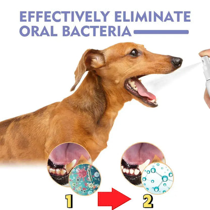Dog Dental Care Spray & Breath Freshener