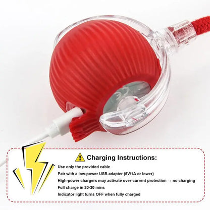 Interactive USB Rechargeable Pet Ball