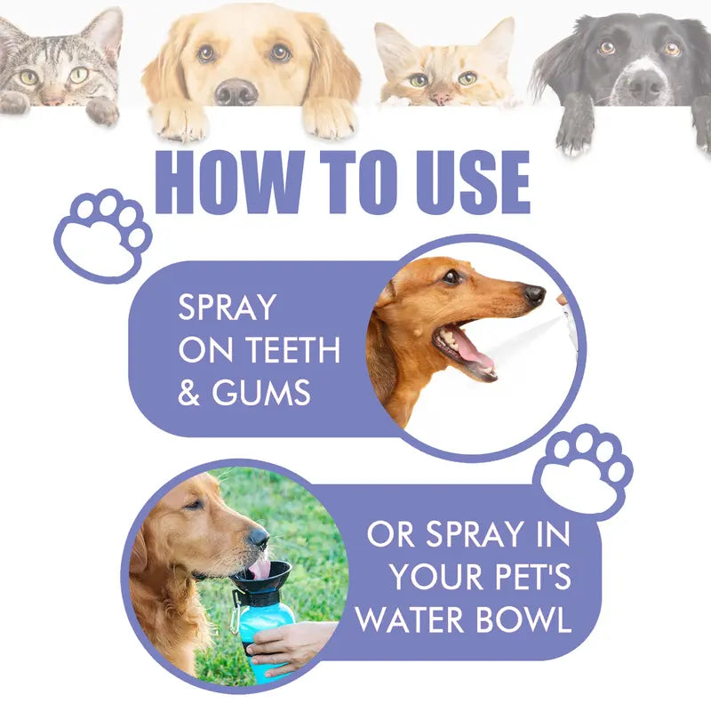 Dog Dental Care Spray & Breath Freshener