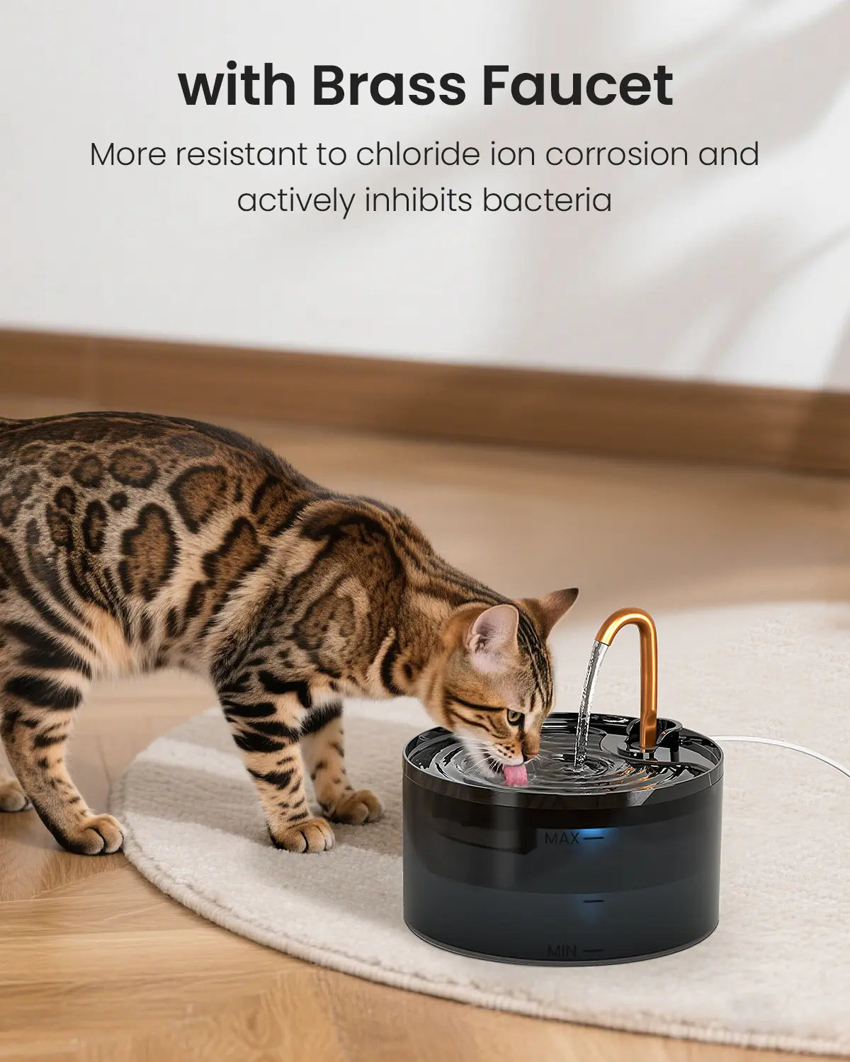 Cat Water Fountain
