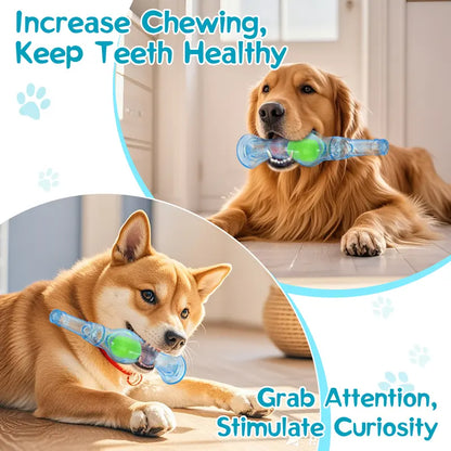 Squeaky Tennis Ball in a Bottle for Aggressive Chewers