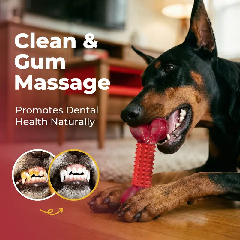 Unbreakable Dog Chew Toys for Aggressive Chewers