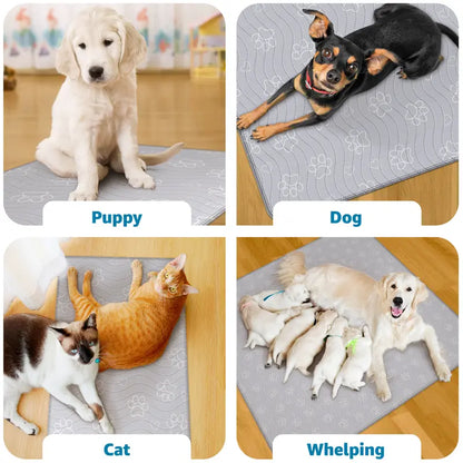 Reusable Pee Pads