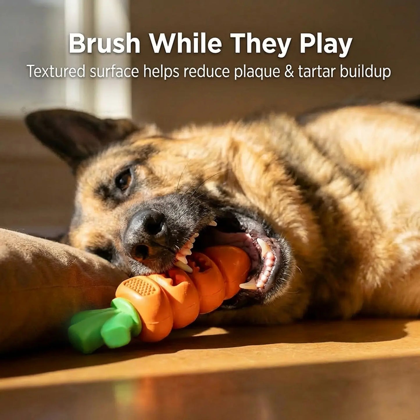 Durable Carrot Leaf Design Dog Chew Toy