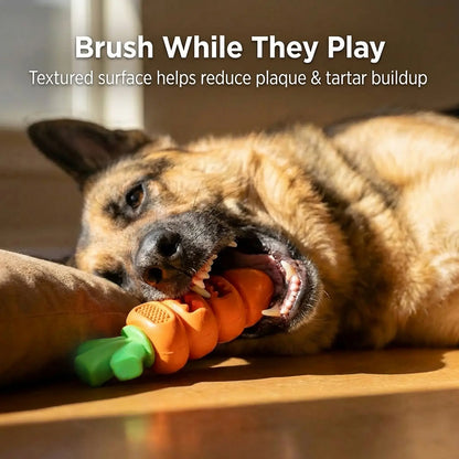Durable Carrot Leaf Design Dog Chew Toy