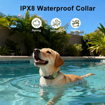 4500FT Long Range Dog Training Collar