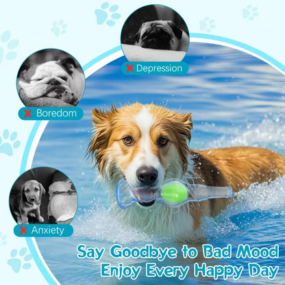 Squeaky Tennis Ball in a Bottle for Aggressive Chewers