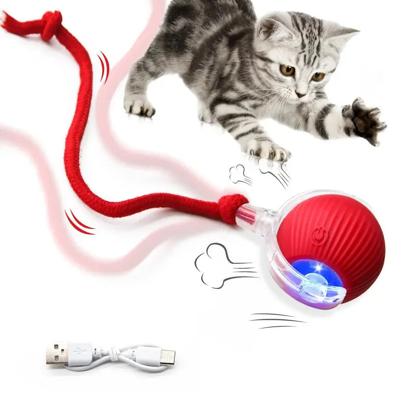Interactive USB Rechargeable Pet Ball