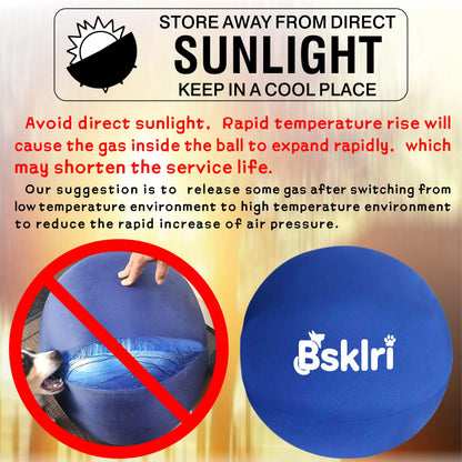 Inflatable Herding Ball for Dogs