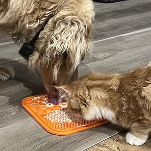 Dog Enrichment Toys 6 Pack - Lick Mat, Ball & Bowl Set
