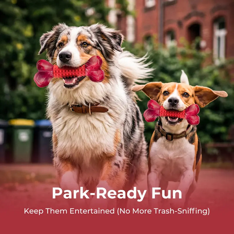 Unbreakable Dog Chew Toys for Aggressive Chewers