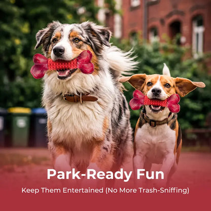 Unbreakable Dog Chew Toys for Aggressive Chewers