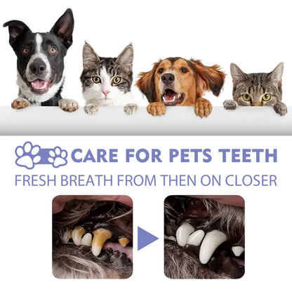 Dog Dental Care Spray & Breath Freshener