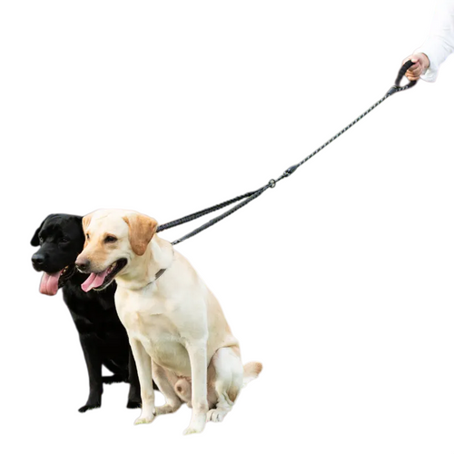 Dual Dog Leash