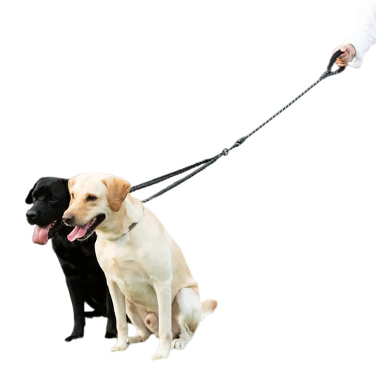 Dual Dog Leash