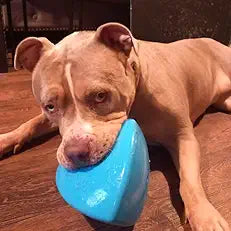 Interactive Dog Treat Dispenser & Puzzle Feeder – Unique Self-Propelling Roller Toy