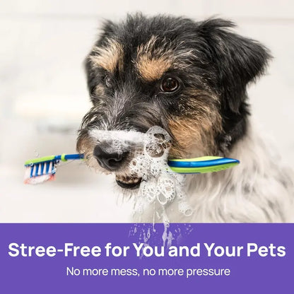 Dog Dental Care Spray & Breath Freshener