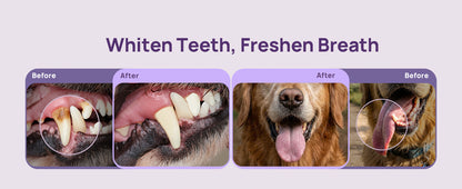 Silicone Dog Finger Toothbrush