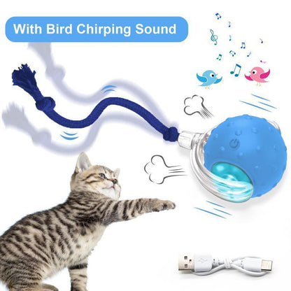Interactive USB Rechargeable Pet Ball