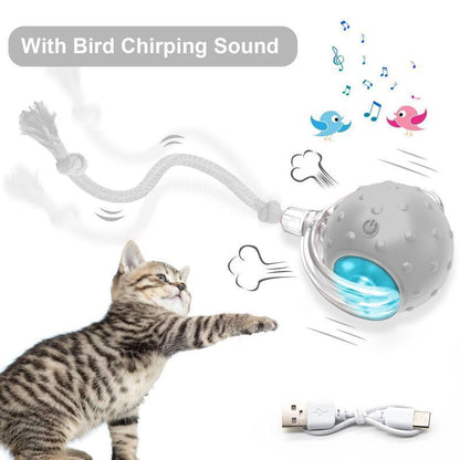 Interactive USB Rechargeable Pet Ball