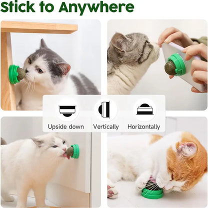 4-Pack Premium Silvervine &amp; Catnip Balls