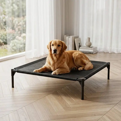 Elevated Dog Bed