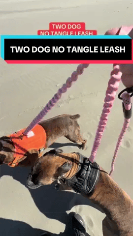 Dual Dog Leash