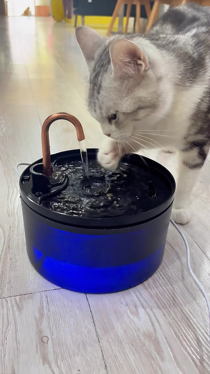 Cat Water Fountain