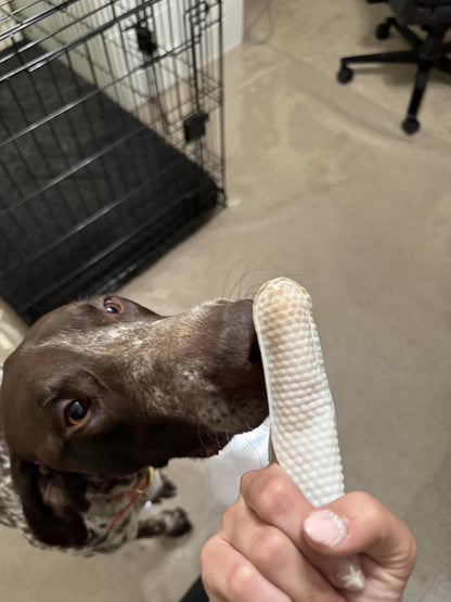 Dog Ear Cleaning Finger Wipes with Aloe Vera & Eucalyptus
