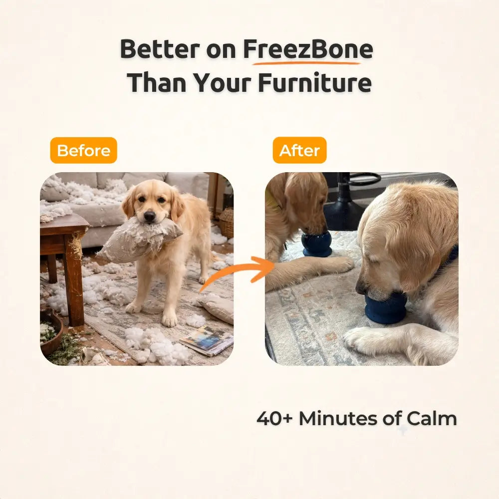 Fillable Dog Chew Bone