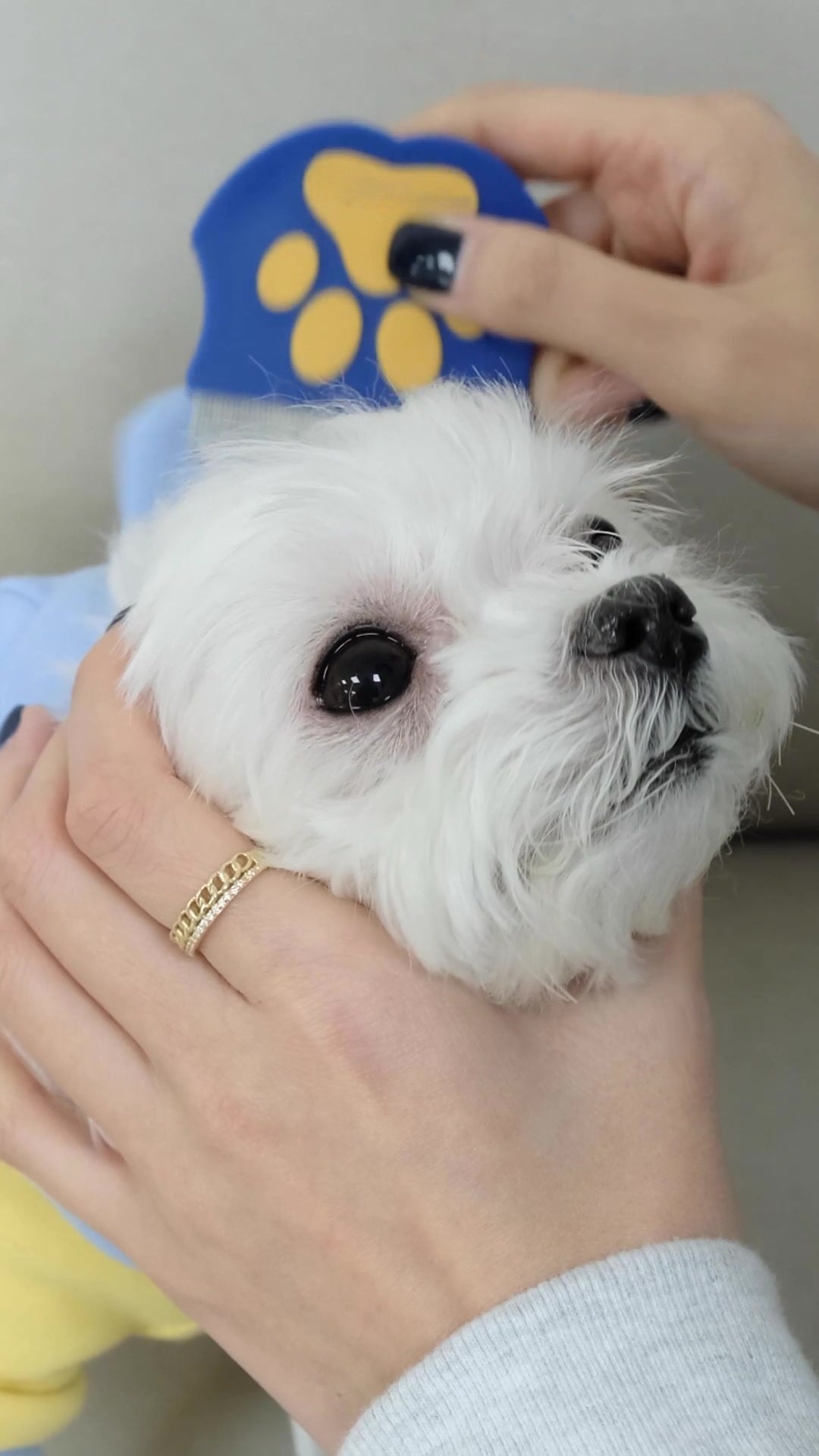 Pets Eye Comb Easy Facial Comb for Cats and Dogs
