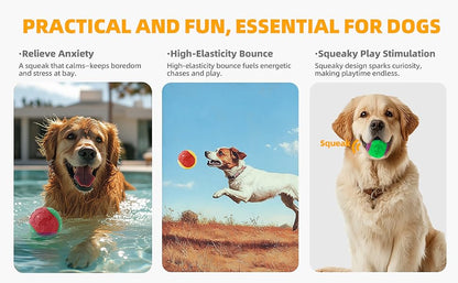 Squeaky Dog Balls – Durable Rubber Fetch Toys for Aggressive Chewers