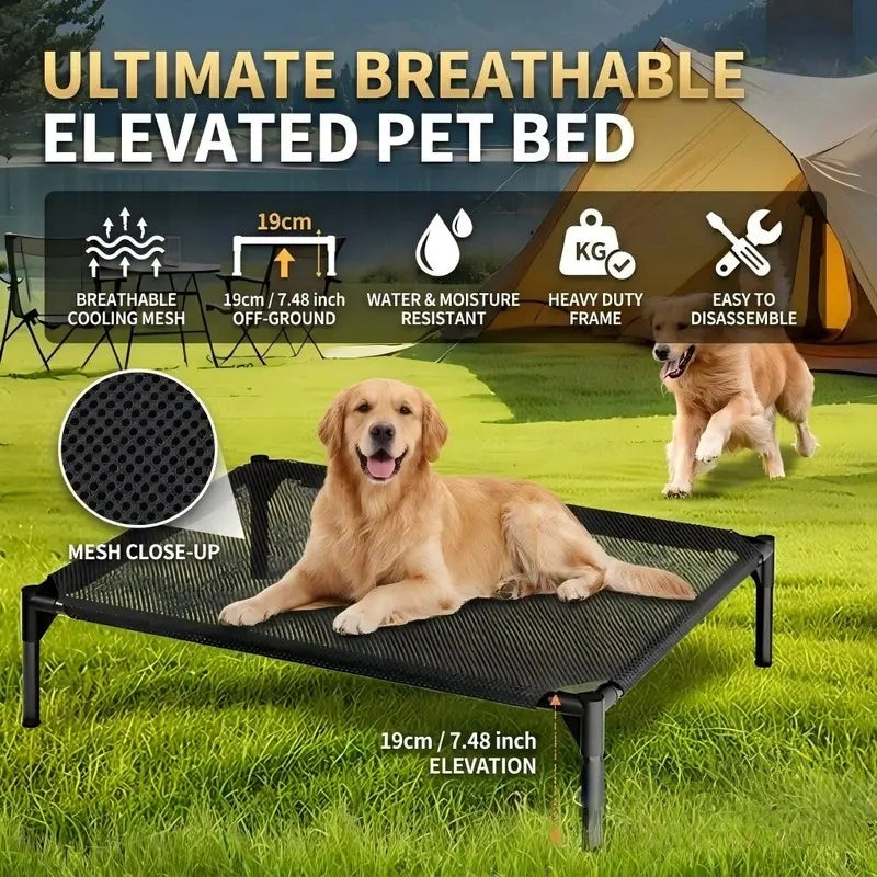 Elevated Dog Bed