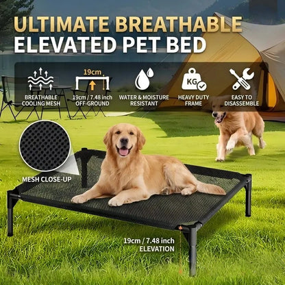 Elevated Dog Bed