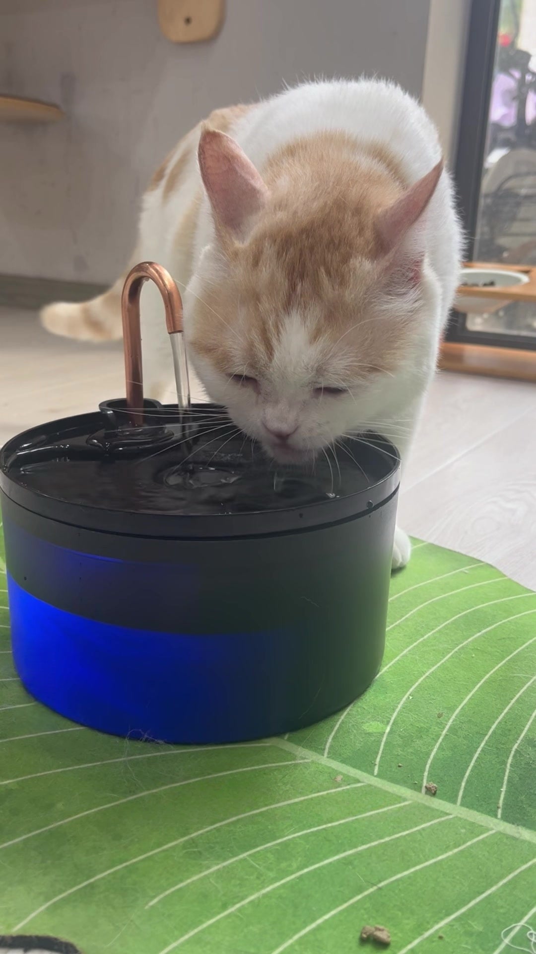 Cat Water Fountain