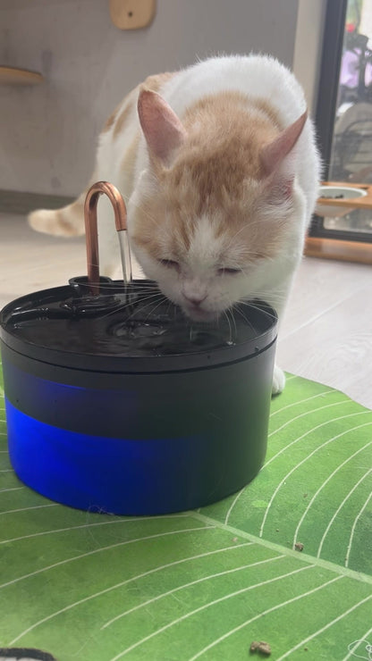 Cat Water Fountain