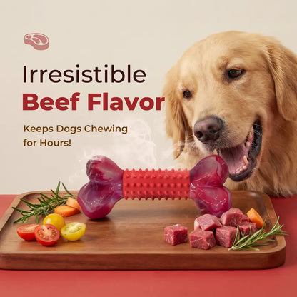 Unbreakable Dog Chew Toys for Aggressive Chewers