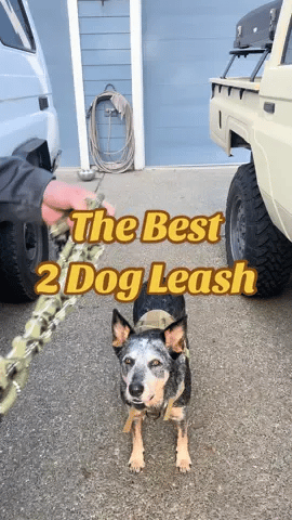 Dual Dog Leash