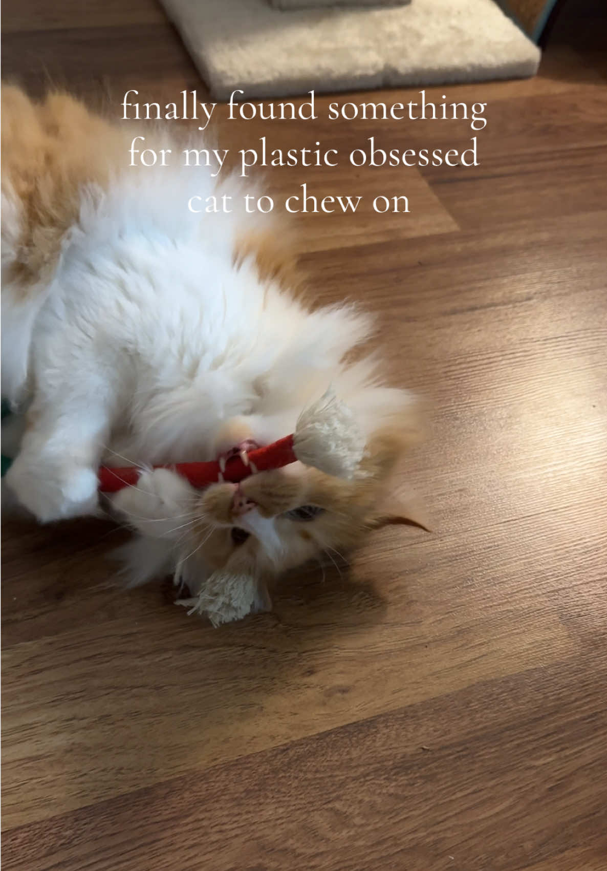 3-Pack Durable Cat Chew Rope Toys